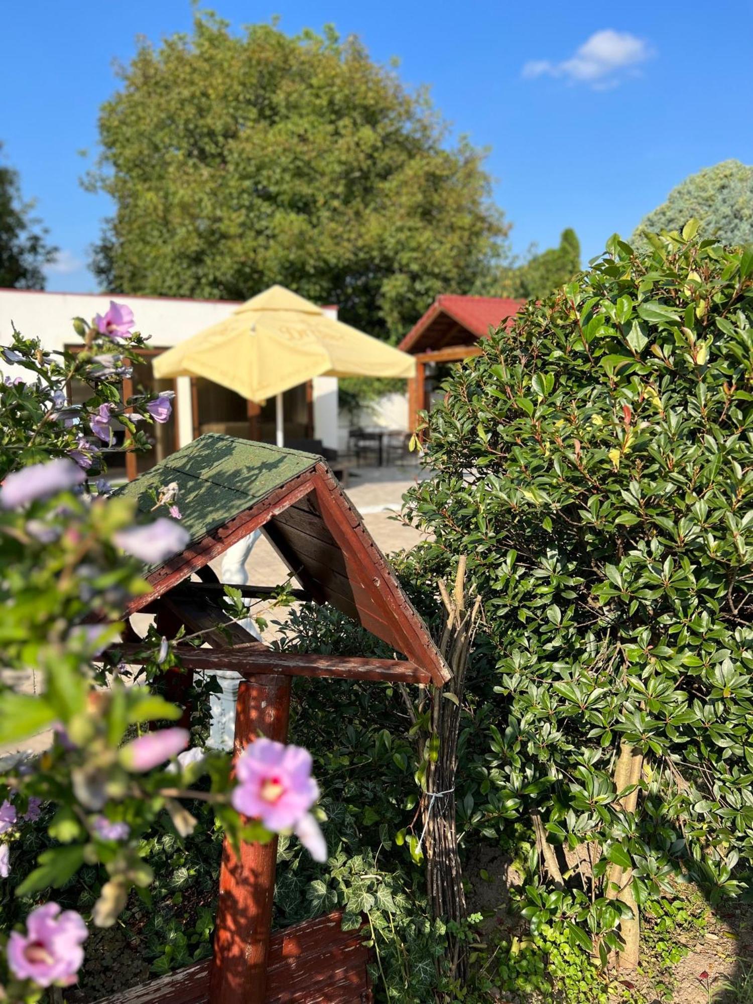 Bajor Panzio Buek-Buekfuerdo, Adults Friendly 12 Plus Exterior foto